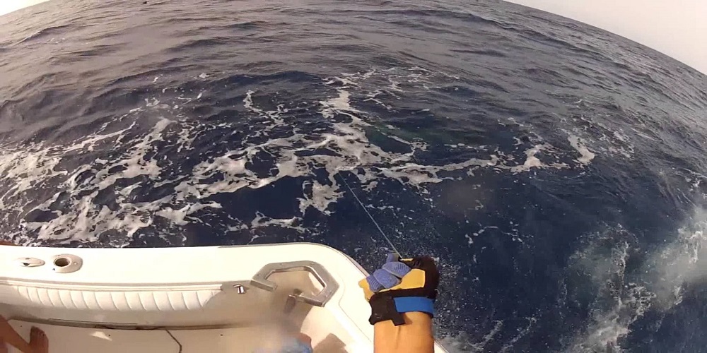 XXII open gran Tarajal 